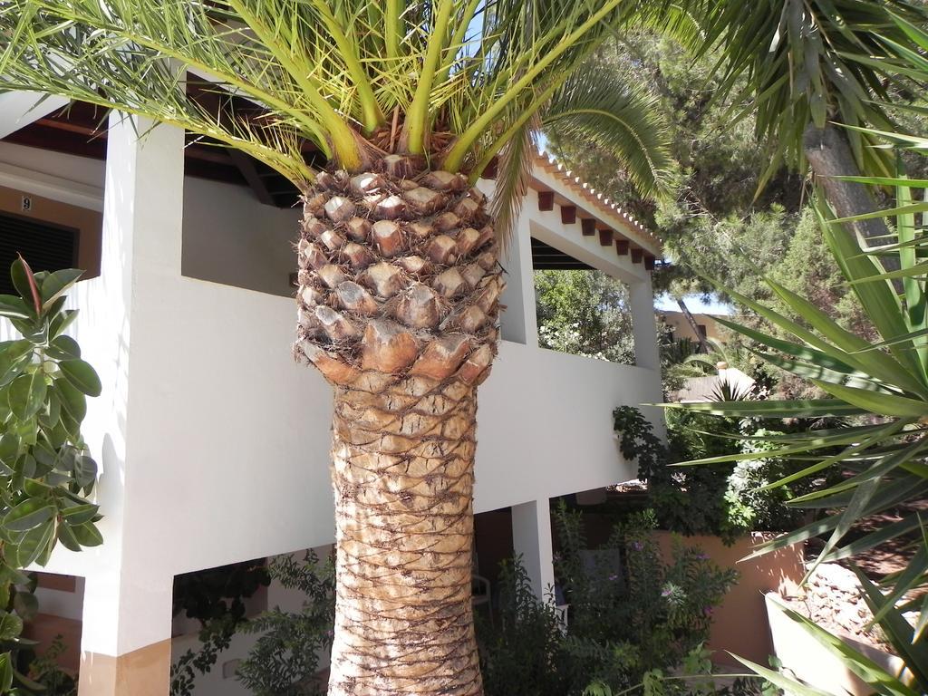 Viviendas Turísticas Vacacionales Allida Playa de Migjorn Exterior foto